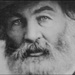 Walt Whitman SM
